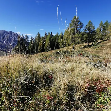 Wipferl - Dein Nest In Den Bergen Appartamento