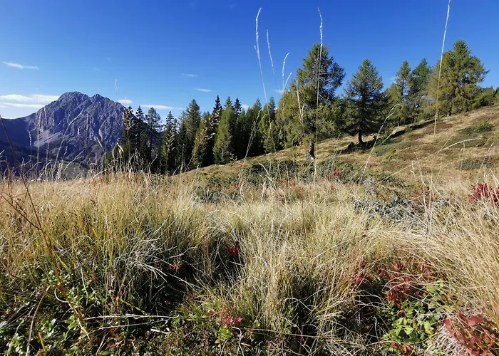Wipferl - Dein Nest In Den Bergen Apartamento