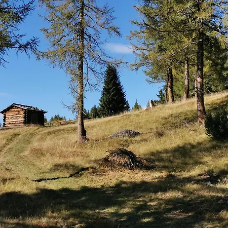Apartment Wipferl - Dein Nest In Den Bergen Maria Luggau